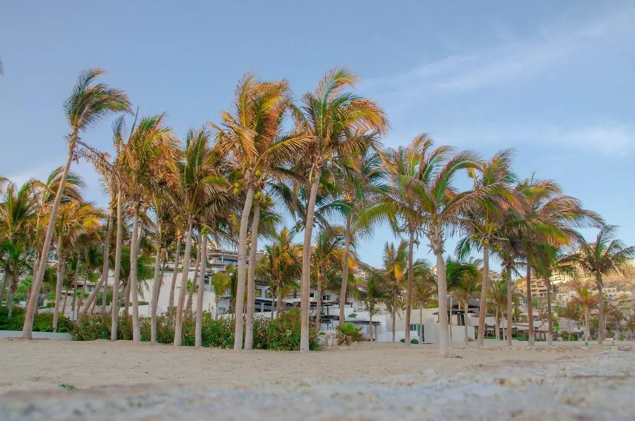 Pedregal Suites - Marina And Downtown Cabo San Lucas Hotel