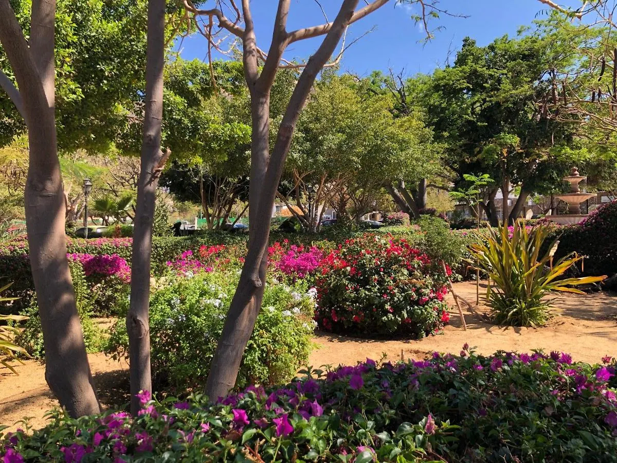 Pedregal Suites - Marina And Downtown 卡波圣卢卡斯 2*,  墨西哥
