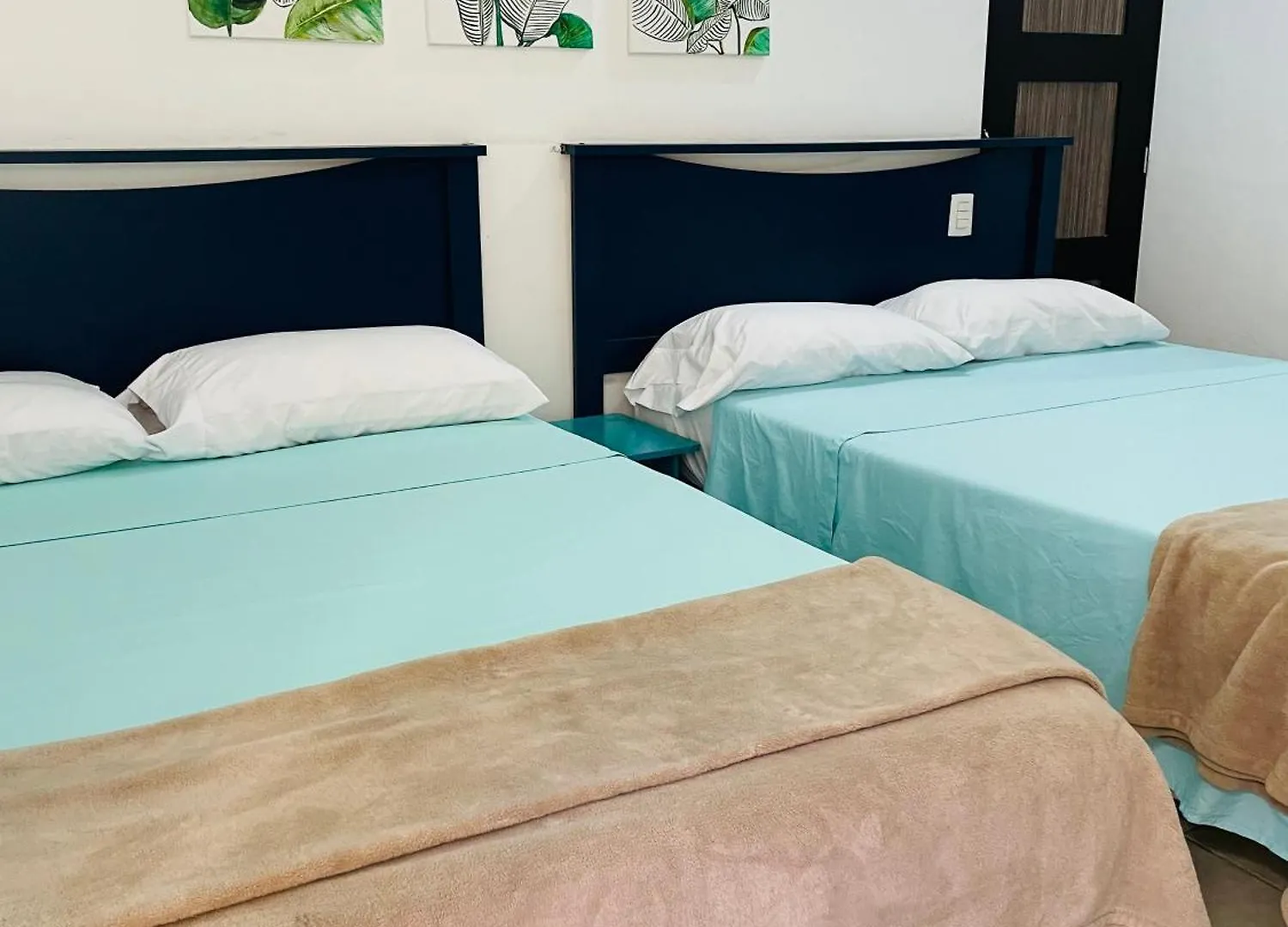 Pedregal Suites - Marina And Downtown 卡波圣卢卡斯 酒店