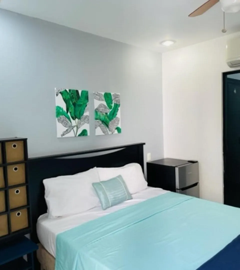Pedregal Suites - Marina And Downtown 卡波圣卢卡斯