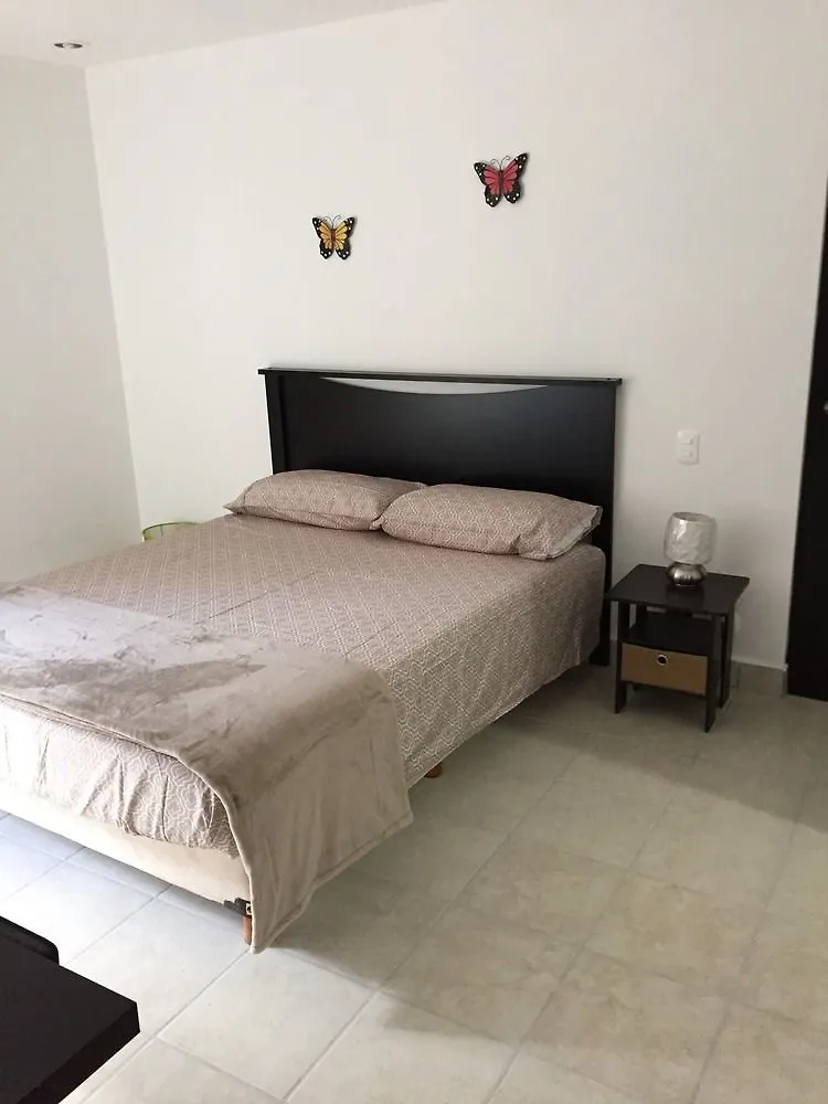 ** 酒店 Pedregal Suites - Marina And Downtown 卡波圣卢卡斯 墨西哥