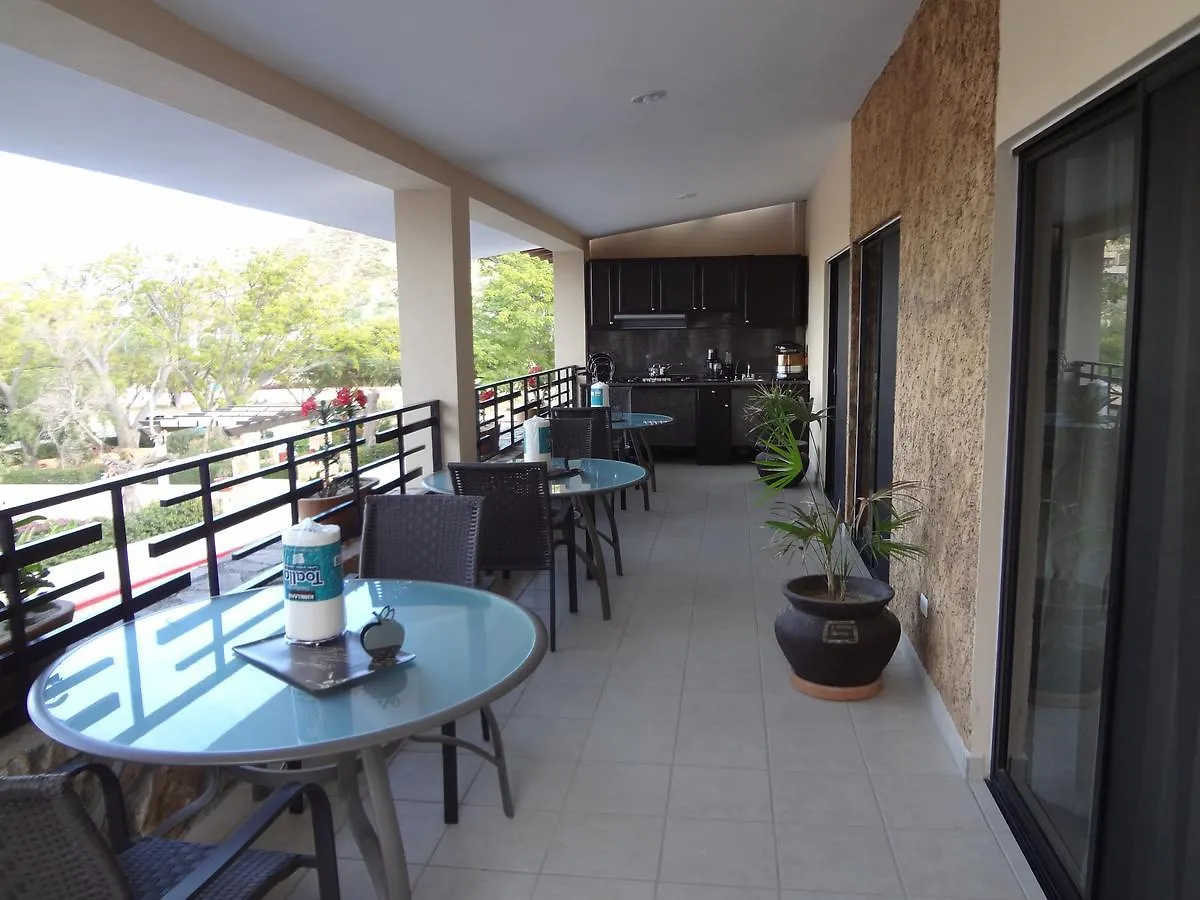 Pedregal Suites - Marina And Downtown 卡波圣卢卡斯 酒店